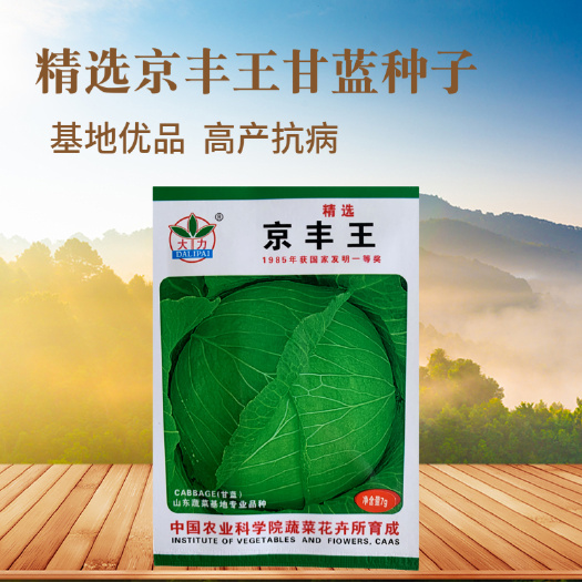 武汉农科院正品京丰王杂交甘蓝种子籽高产阳台蔬菜种孑农家菜园卷心菜