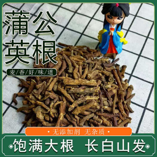 抚松县长白山蒲公英根，颗粒整 不碎