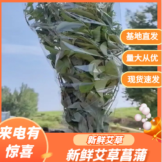 新鲜艾草菖蒲 端午艾草花束
