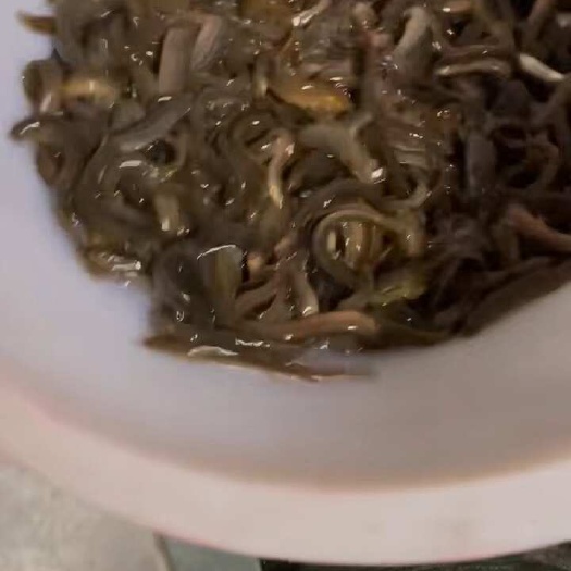 花泥鳅  泥鳅鱼苗欢迎新老客户来订购
