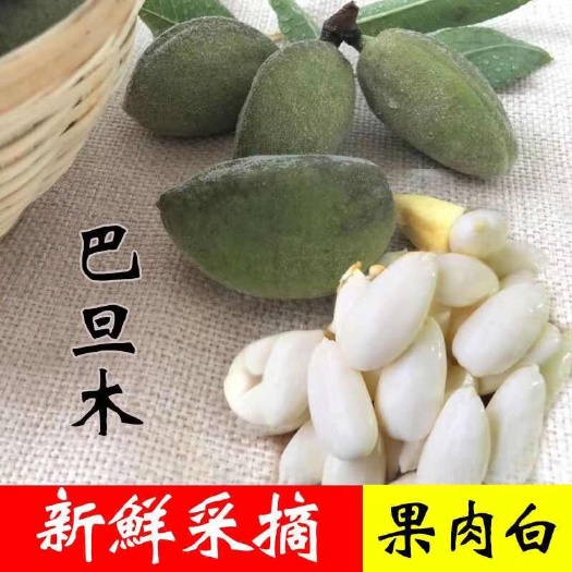 莎车县新疆鲜巴旦木现摘湿巴旦木带青皮绿皮生巴旦木扁桃仁自家果园
