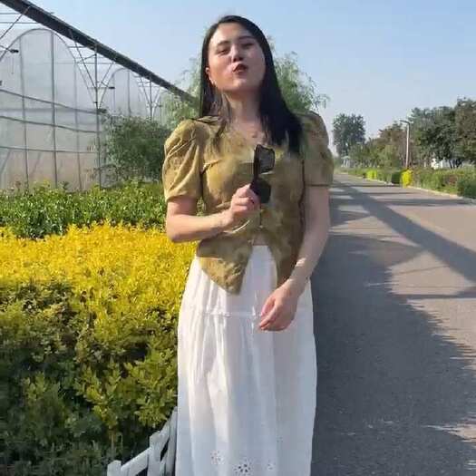聊城大棚膜  高保温 不起雾 不滴水 厂家直发