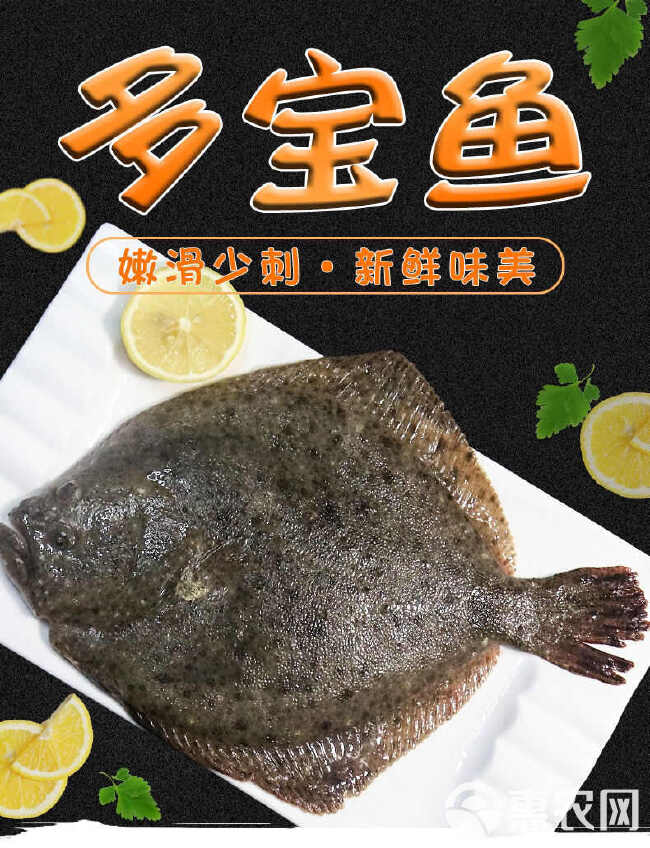 活冻多宝鱼海捕速冻烤鱼食材烧烤海鲜水产新鲜多宝鱼大菱鲆比目鱼