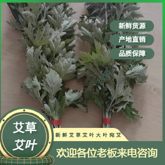 端午节新鲜艾草 菖蒲 按需包装 货源充足