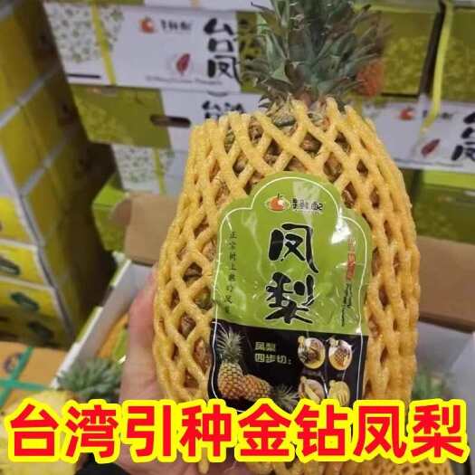 上海新货品种金钻凤梨原箱大果新鲜水果树上熟无眼菠萝脆甜