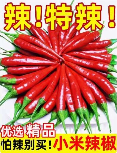 商丘新鲜小米辣 红辣椒小米椒朝天椒 很辣可制泡椒手工剁椒酱