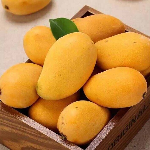 (热卖)云南台农芒。一手货源。诚信代办。对接电商批发商