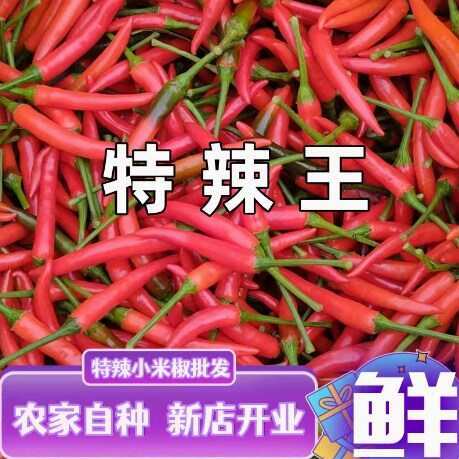 徐闻县新鲜小米辣椒 特辣剁朝天椒红辣椒泡椒超辣农家自种小米椒
