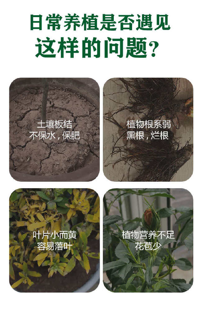 植挥官肥料花卉瓜果蔬菜生根液快速壮苗微生物菌剂养根护根防根腐