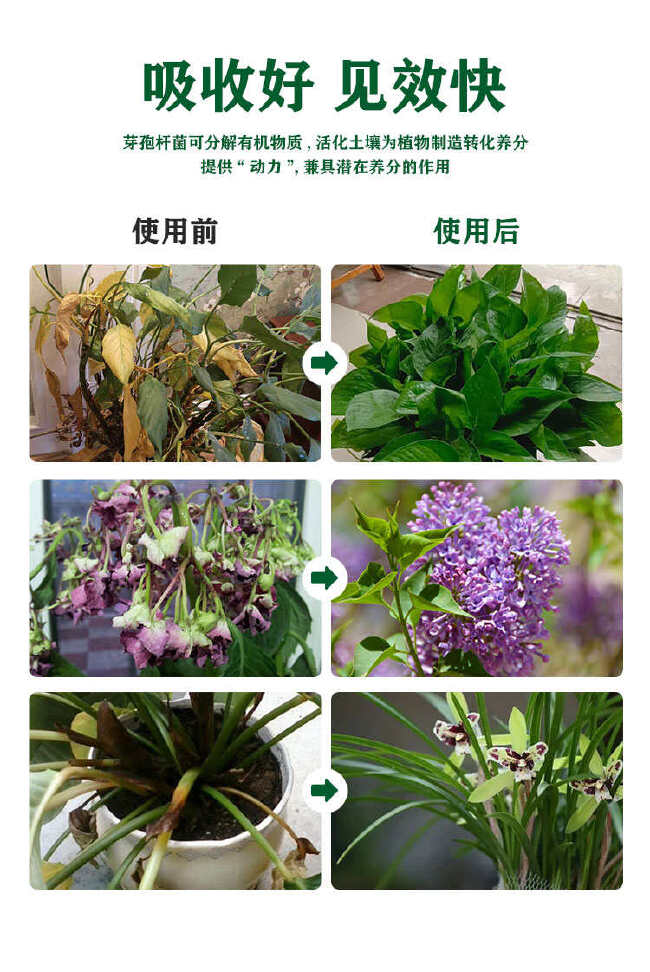 植挥官肥料花卉瓜果蔬菜生根液快速壮苗微生物菌剂养根护根防根腐