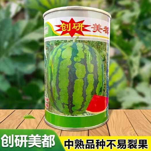 漯河创研美都西瓜种子 早中熟 800粒罐装 细脆多汁 含糖度高