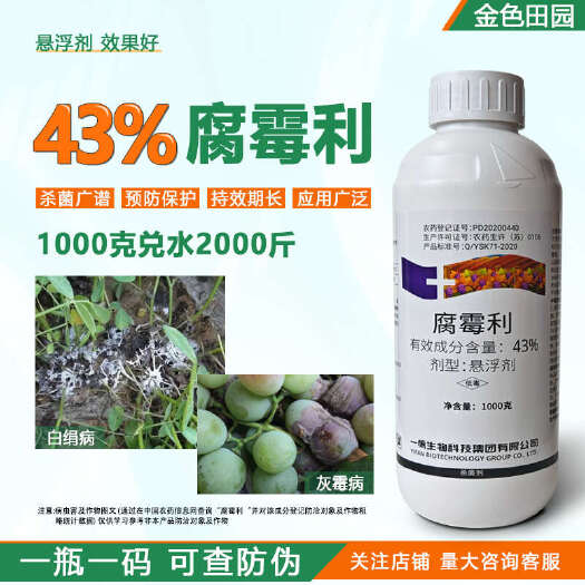 烟台一帆生物43%腐霉俐葡萄灰霉病专用药腐霉利腐霉剂农药杀菌剂农