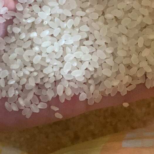 十堰珍珠米