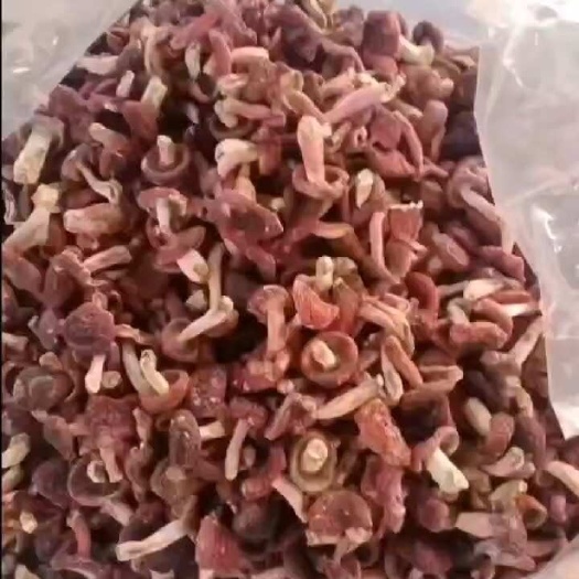 勐腊县精品货价格美丽