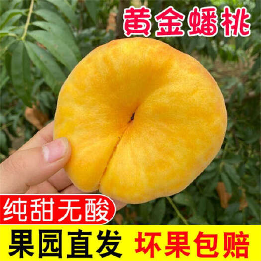 蒙阴县黄金毛蟠桃黄毛蟠桃黄金蟠桃瑞蟠5斤装/礼盒装支持一件代发