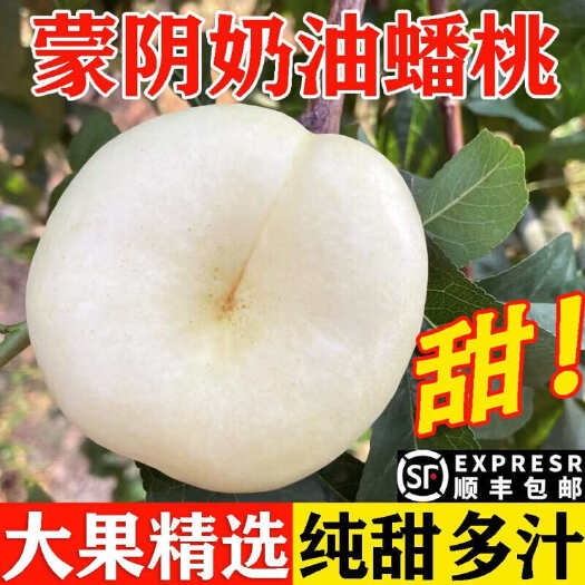 蒙阴县山东蒙阴奶油蟠桃白玉蟠桃白玉油潘蜜蜂奶油蟠桃一件代发