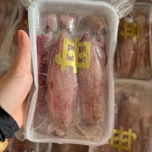长沙母鱿鱼批发包邮带籽母管鱿鱼冷冻笔管膏鱿海鲜水产餐厅酒店供应