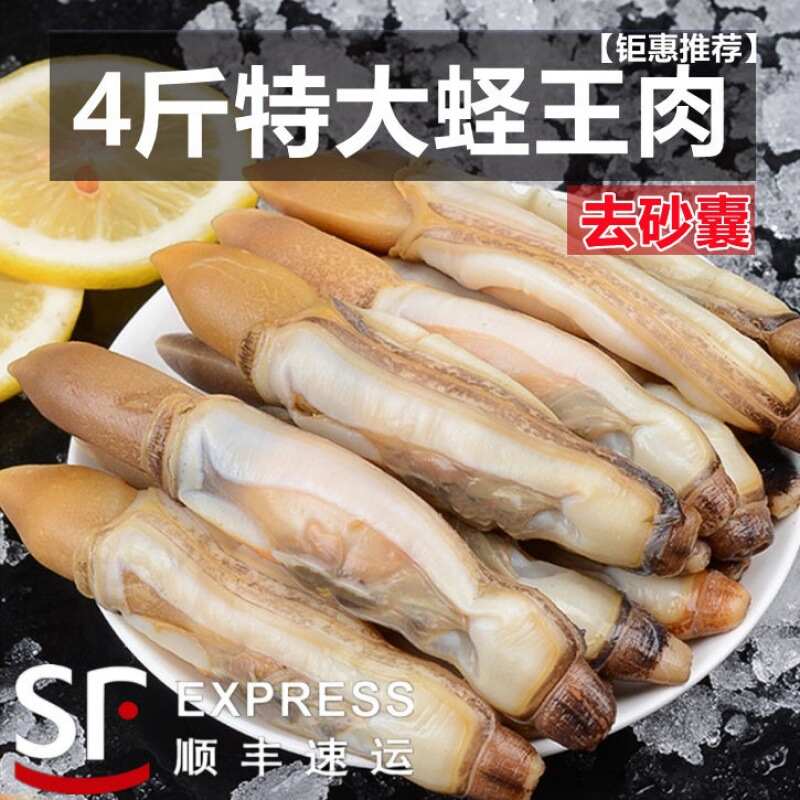 鲜冻蛏王肉鲜活蛏子肉冷冻无沙蛏子肉整箱批发饭店商用海鲜水产