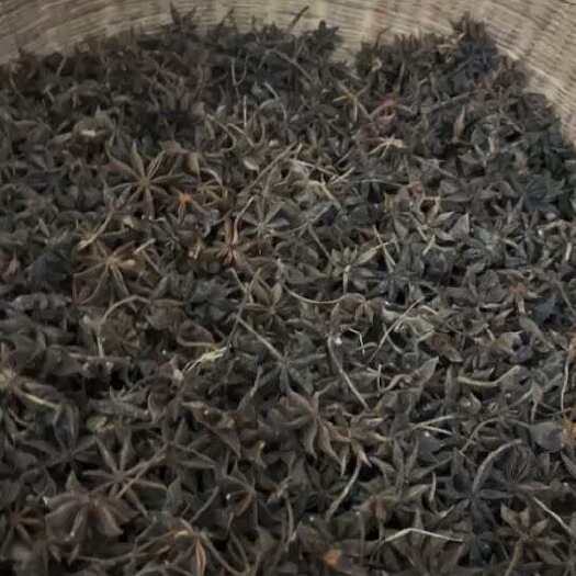 梧州黑色八角