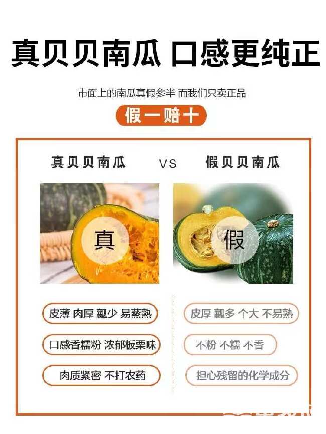 【产地直发】爆粉贝贝南瓜粉糯香甜，大量现货，品质保证