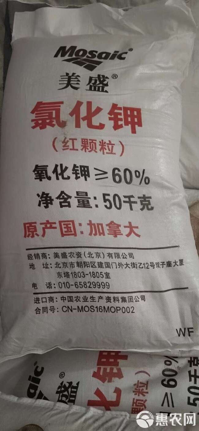 米高颗粒俄罗斯红钾60% 钾肥原料  肥料厂家现货