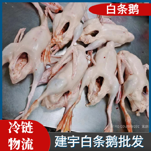 郑州屠宰场发货，大三花白条鹅，仔鹅80天左右 净膛 净重38斤