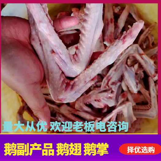 河南新鲜优质鹅翅 鹅副产品精选批发，需要的联系