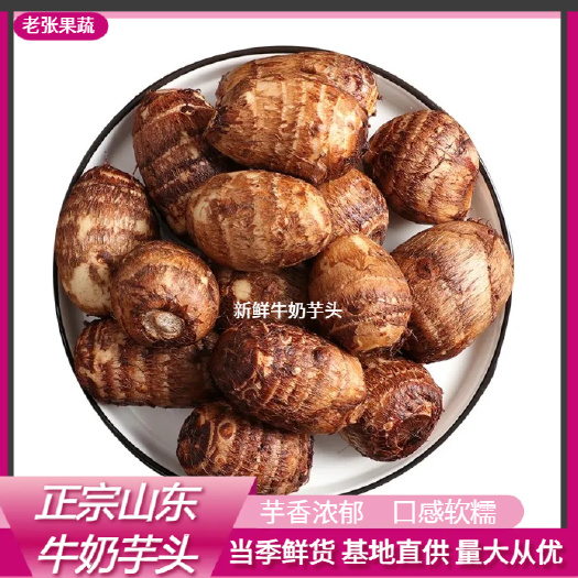 临沭县山东芋头，毛芋头。牛奶芋头一手货源芋头批量发货产地直供