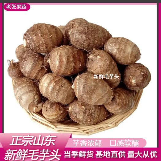 临沭县山东正宗芋头，毛芋头。牛奶芋头一手货源芋头批量发货产地直供