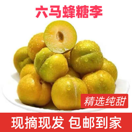 镇宁县六马蜂糖李，产地现摘现发，包邮到家
