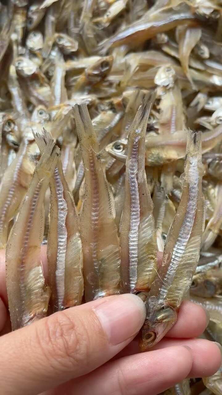 9成干小魚(yú)干 地?cái)?電商 淡干小魚(yú)干 公干魚(yú)干 白帆魚(yú)干