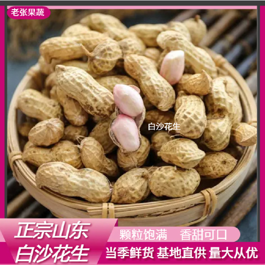 花生，白沙花生 9616花生可做芽苗菜，发芽率高，出菜高