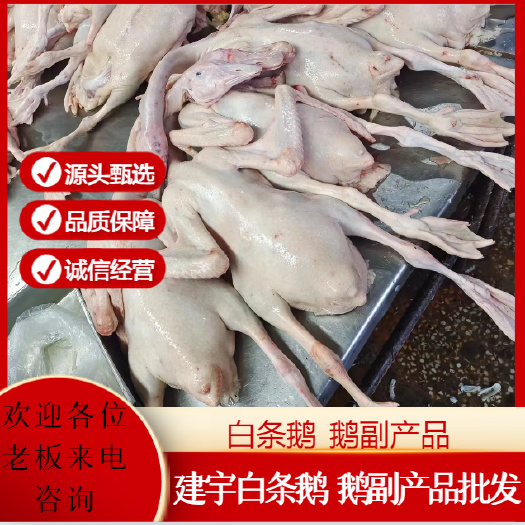 郑州白条鹅，厂家直销，有需要可以直接来电话咨询一箱38斤净重