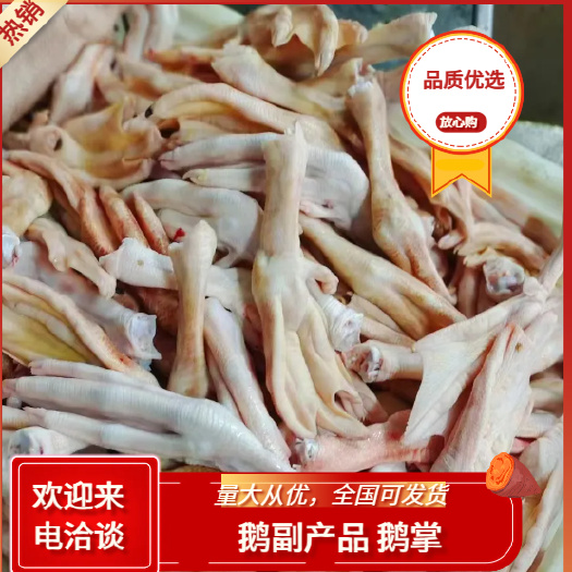河南优质鲜鹅掌 禽畜肉蛋 快速发货