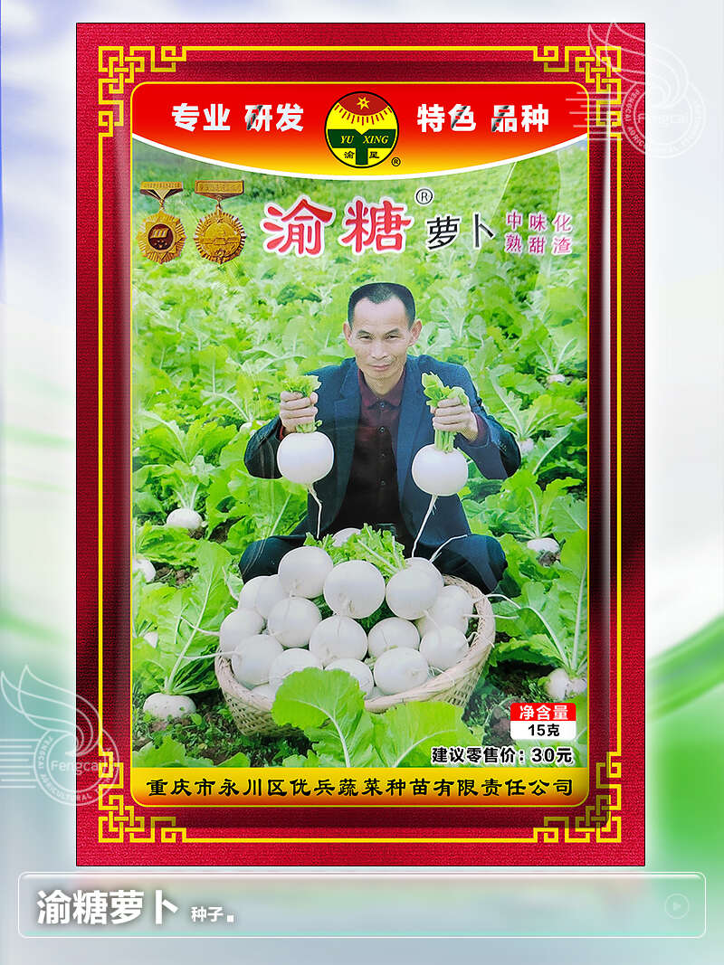 春不老萝卜种子 重庆冰糖萝卜种子 中熟味甜化渣 叶色黄白色