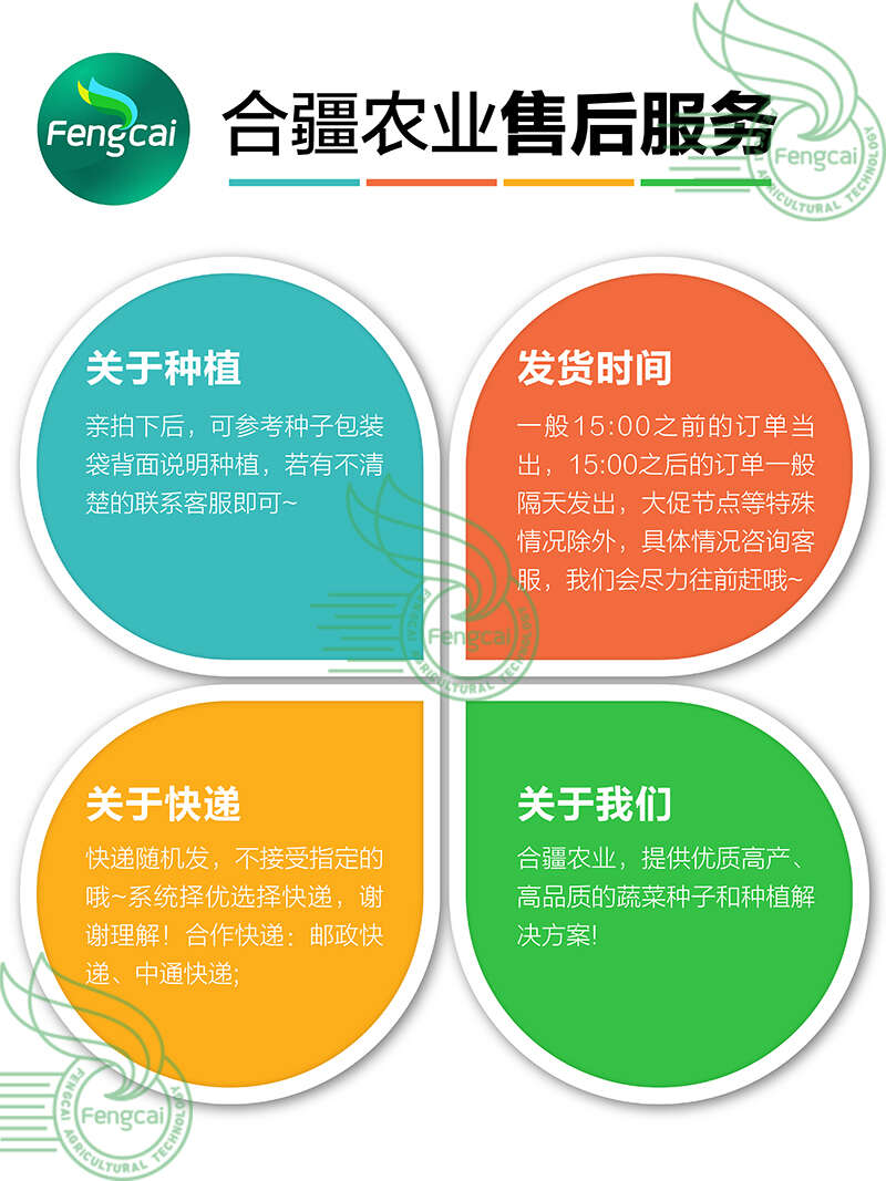 春不老萝卜种子 重庆冰糖萝卜种子 中熟味甜化渣 叶色黄白色