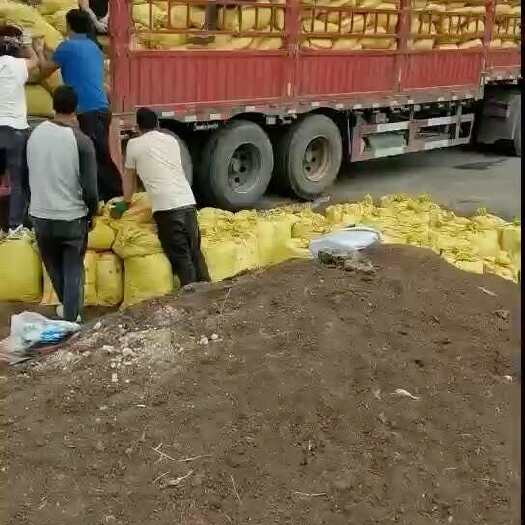 若尔盖县发酵羊粪