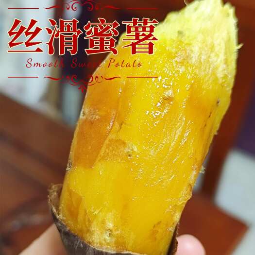 莱州市包邮~山东烟台烟薯25号地瓜红薯