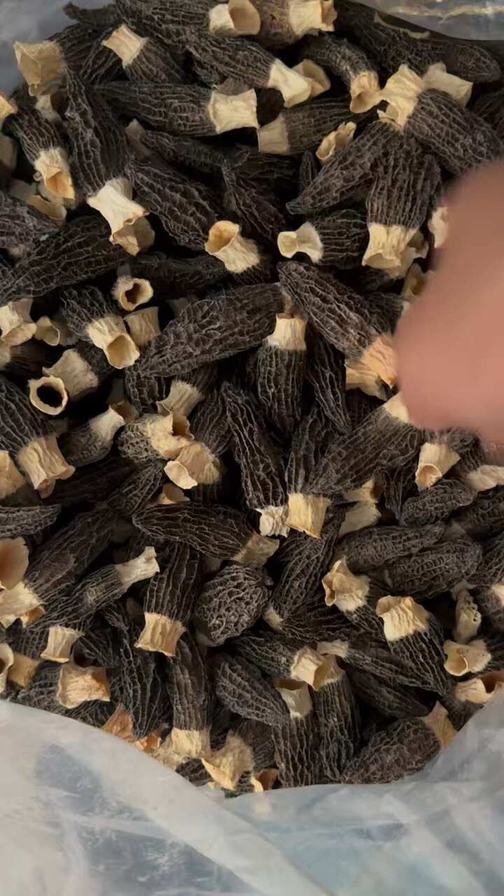羊肚菌干货精选2025剪炳干羊肚菌酒店饭店新鲜羊肚菌