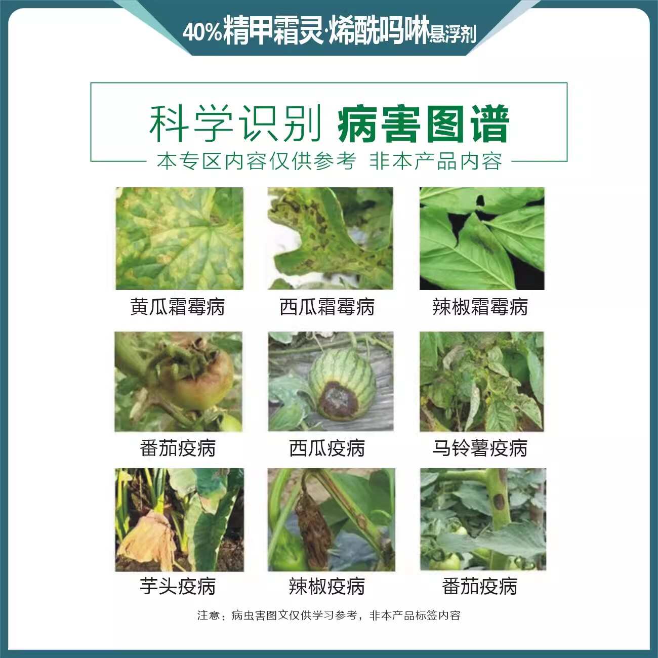 40%精甲霜灵烯酰吗啉黄瓜霜霉病葡萄辣椒番茄早晚疫病农药杀菌