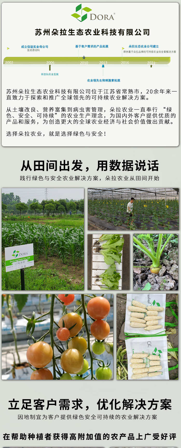 朵拉钙美丰鳌合钙镁肥中量元素水溶肥料 膨果增甜防裂果