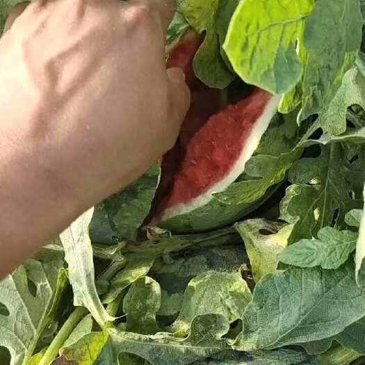 忻州美都