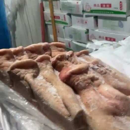 成都肥猪长拱嘴，10到12个的