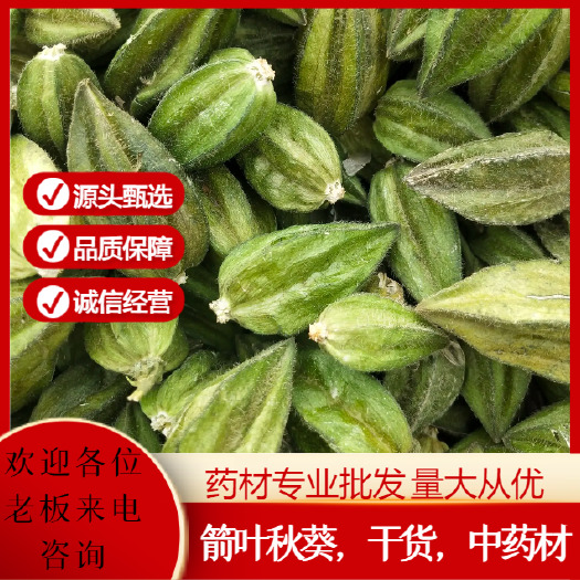 临沂箭叶秋葵五指山参荚果 自产自销8月1日前，量大6折优惠