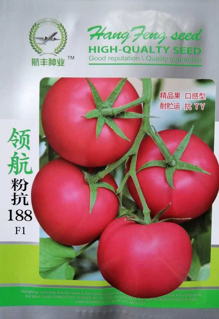 粉抗188硬粉番茄種子 早熟無(wú)限生長(zhǎng) 抗TY抗病毒 耐裂果