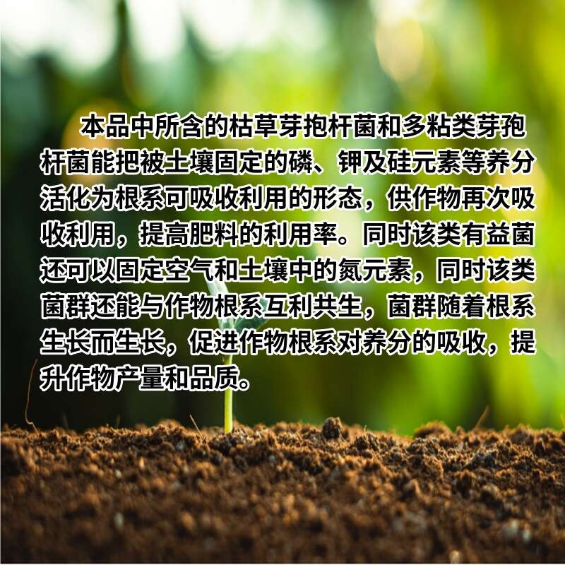 微生物菌劑預(yù)防土傳病害改良土壤快速生根豆角黃瓜辣椒番茄水溶肥