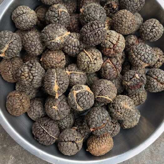 梧州草蔻