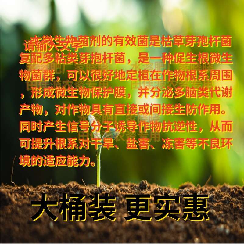 微生物菌劑預(yù)防土傳病害改良土壤快速生根豆角黃瓜辣椒番茄水溶肥