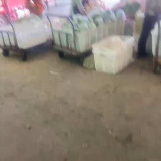 定西包菜，大量上市，有需要的老板，