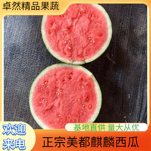 永城市美都麒麟瓜产地直供质量保证大棚种植大量供应可视频看货，